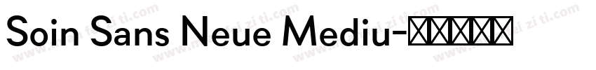 Soin Sans Neue Mediu字体转换
